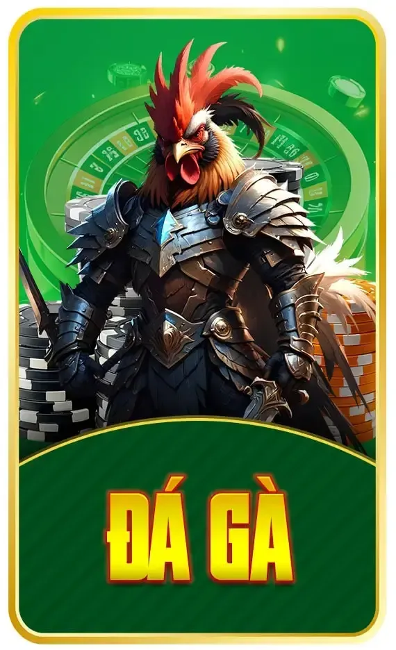 đá gà