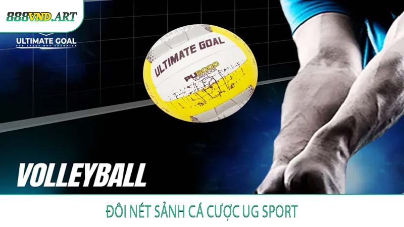 Đôi Nét Sảnh Cá Cược UG Sport